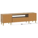 vidaXL LED TV kabinet Dub artisan Kompozitné drevo – Obrázok 6