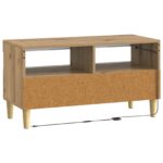 vidaXL LED TV kabinet Dub artisan Kompozitné drevo – Obrázok 6