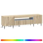 vidaXL LED TV kabinet Dub sonoma Kompozitné drevo – Obrázok 2