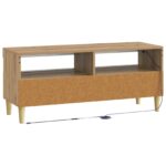 vidaXL LED TV kabinet Dub artisan Kompozitné drevo – Obrázok 6