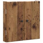 vidaXL Skriňa na terč BREDA Staré drevo 52,5 x 10,5 x 53,5 cm – Obrázok 3