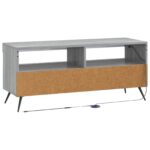 vidaXL LED TV kabinet Sivý Sonoma Kompozitné drevo – Obrázok 6