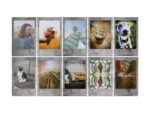 Instantný film Fujifilm instax mini STONE GRAY – Obrázok 2